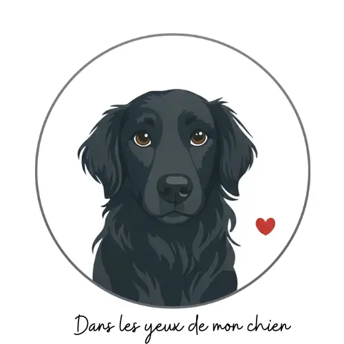 Dans-les-yeux-de-mon-chien